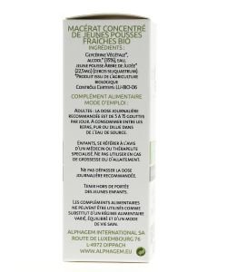 Arbre de Judée (Cercis siliquastrum) bourgeon unitaire BIO, 50 ml
